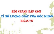 Tỉ số lượng giác của góc nhọn trong tam giác vuông Toán lớp 9 - Hỏi nhanh đáp gọn